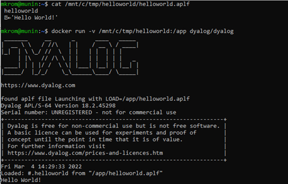 Screenshot of docker support integration with Dyalog version 18.2