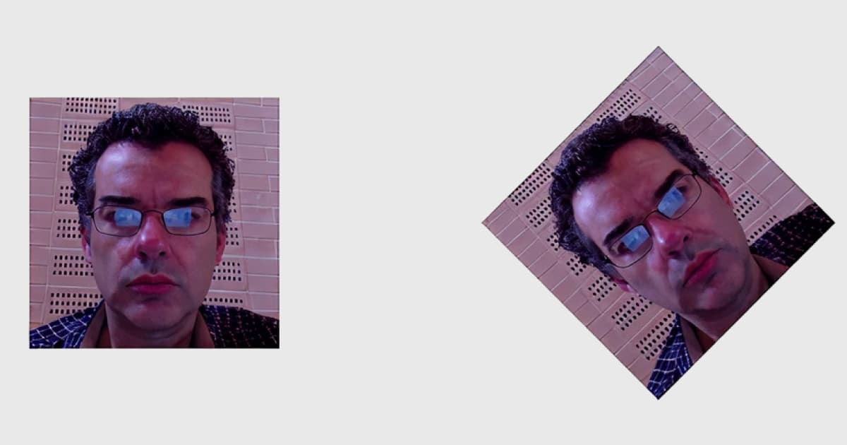 Two images of John Daintree side by side during his Dyalog ’14 presentation, demonstrating a shear transformation — one upright and the other rotated diagonally against a light background.