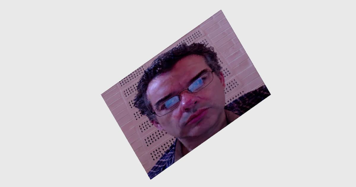 A sheared and tilted portrait of John Daintree from Dyalog ’14, showing a creative distortion effect with his head rotated diagonally against a perforated wall background.