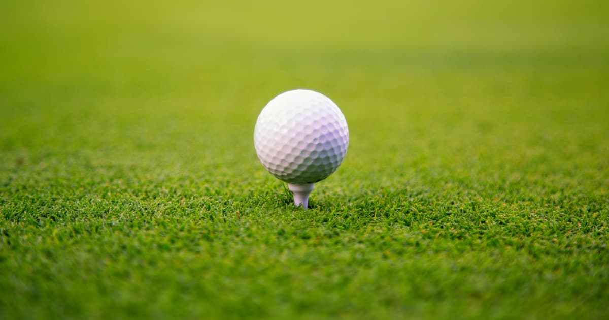 A white golf ball placed on a tee, set against a close-up of green grass.